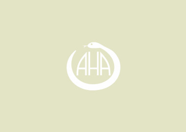 Boletín electrónico AHA – Noviembre 2023